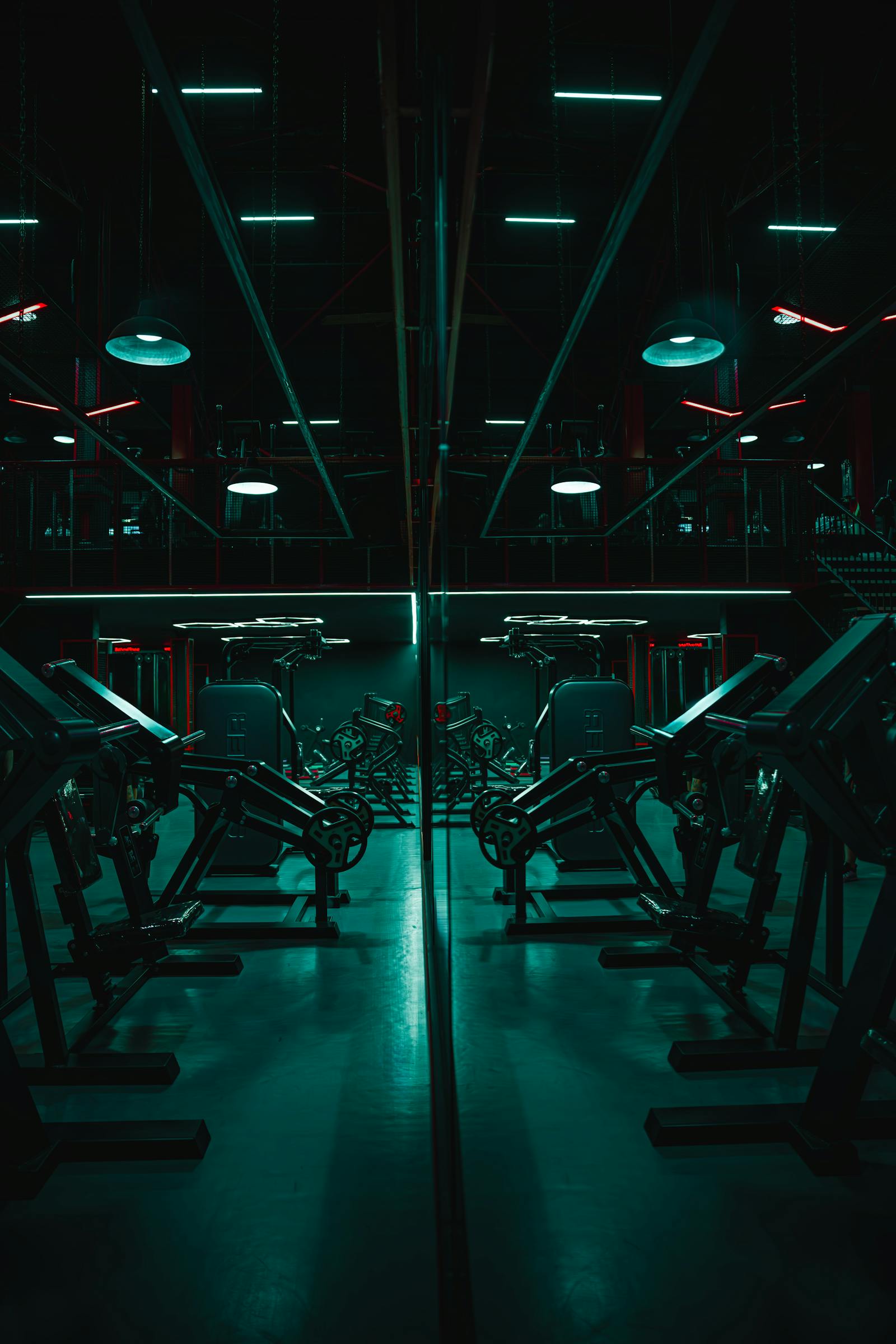 Siłownie i fitness